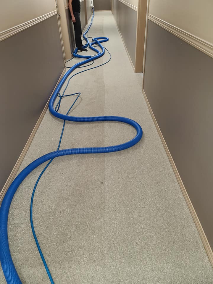 Hallway carpet cleaning in commercial building