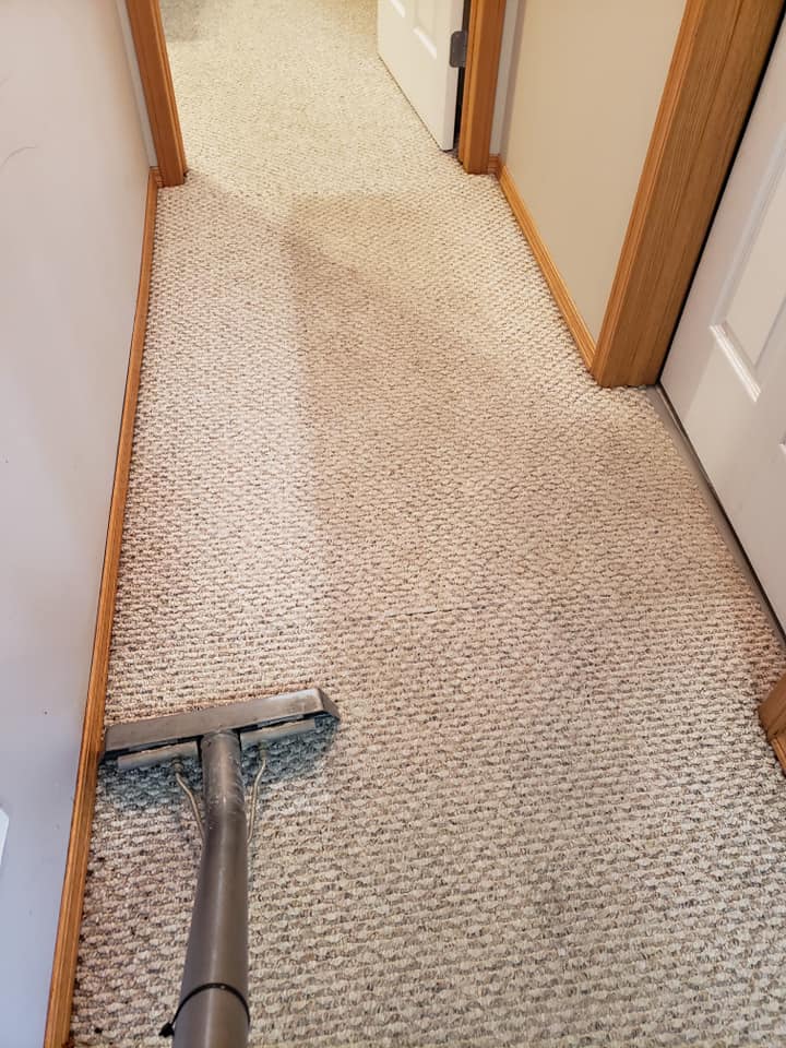 Residential carpet steam cleaning