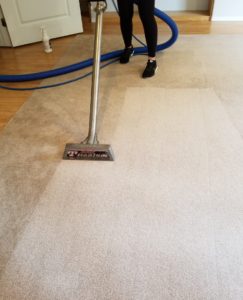 Steam cleaning of home soiled carpet